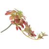 BESPORTBLE Artificial Succulent Plants, 11.4Inch Artificial Succulents Hanging Plants for Outdoor Indoor Vase Decor view 2