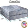DS Solutions USA Chiro Premier 2-Sided (Blue Color) Queen Size Mattress Set with Mattress Cover Protector view 2