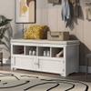 LUMISOL Storage Bench with 2 Doors and Shoe Rack Storage Chest with Seat Cushion Shoe Cabinet for Foyer Entryway Hallway view 4