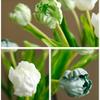 DFONCE Artificial Bonsai Tree Potted Plant Ornament Floral Desktop Bedroom Hotel Decorations Simulation Parrot Tulip Floral Living Room Exhibition Hall Shooting Props Fake Flowers Decoration Bouquets view 3