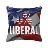 0% Liberal Soft Comfortable Double Sided Plush Pillow Case with Strong Home Practicality 18 X 18 in view 1