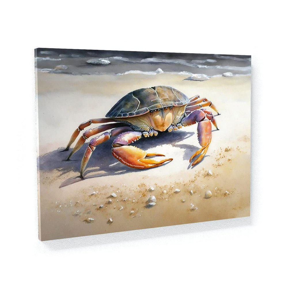 Sense Canvas Crab Watercolor Beach 3 Canvas Art - Home Decor Wall Art Print Poster Painting Large 40x30 / 1.5"