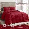 Basic Beyond Twin Comforter Set - Micromink Fleece Sherpa Comforter for Twin Bed, Soft and Warm Twin Bedding Comforter Set for Girls and Boys in Winter, Red, 64"x88" view 2
