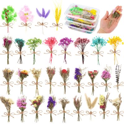 30 Pcs Mini Don't Forget Me Flower Bouquets Purple Natural Dried Flowers Bouquet Dry Flower&Leaves Lavender Dried Embossing Flower Bundles Plant Stem Bunch for DIY Craft,Photo Props,Wedding Decoration