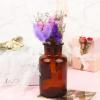 30 Pcs Mini Don't Forget Me Flower Bouquets Purple Natural Dried Flowers Bouquet Dry Flower&Leaves Lavender Dried Embossing Flower Bundles Plant Stem Bunch for DIY Craft,Photo Props,Wedding Decoration view 3