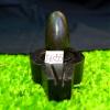 1.75" Black Shiva Lingam with 3.25" Black Yoni Base Original Home,Office Puja Symbol Made from a Sacred Hindu Stone Found The Narmada River Stone Standard Original for Home Puja I-6055 view 1