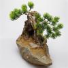 HIHELO Indoor Tabletop Waterfall Fountain Desktop Water Fountain Creative circulating Water Fountain Lucky Feng Shui Micro Landscape Potted Decoration Office Home Decor Meditation Fountain view 4