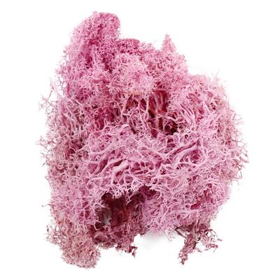 Artificial Fake Moss Flower Decoration Simulation Green Plants Eternal Life Moss Grass for Fairy Garden Terrarium Potted Succulents Craft(Purple)