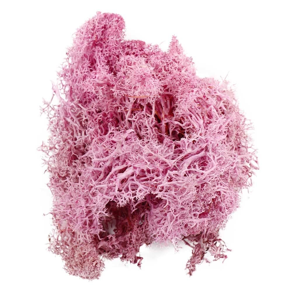 Artificial Fake Moss Flower Decoration Simulation Green Plants Eternal Life Moss Grass for Fairy Garden Terrarium Potted Succulents Craft(Purple)