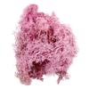 Artificial Fake Moss Flower Decoration Simulation Green Plants Eternal Life Moss Grass for Fairy Garden Terrarium Potted Succulents Craft(Purple) view 1