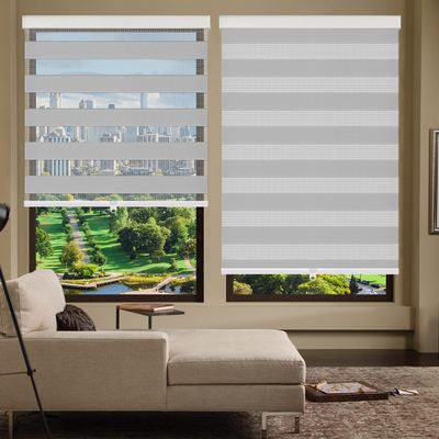 Zebra Roller Shades, Zebra Blinds for Windows,Custom Size Cordless Blackout Zebra Blinds,Dual Layer,Privacy Light Control for Day and Night,Window Blinds for Room,Office,Grey,29" W x 60" H