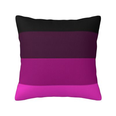 Aromantic Pride Flag LGBTQ Soft Comfortable Double Sided Plush Pillow Case with Strong Home Practicality 18 X 18 in