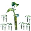12 Window and mirrot Vases with a Strong Suction Cup, Clear Plastic Tubes with Suction Cups for Hydroponic and Propagation Projects, Window Decor, Mirror/Bathroom Decor, Car Windshield view 1
