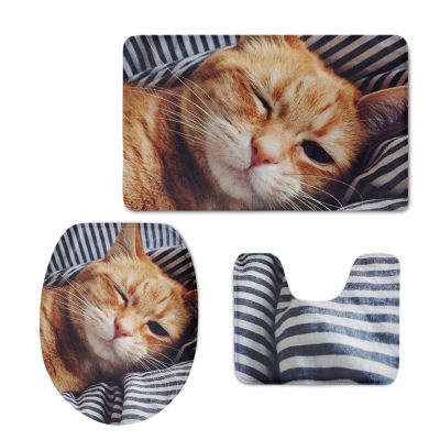 LFFH Bathroom Rugs Sets 3 Piece, Toilet Seat Cover Pads Machine Washable Bath Rugs Ultra Soft Bath Mats Bathroom Foot Mat Set (Color : G)
