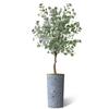 Artificial Tree in Contemporary Geometric Pattern Planter, Fake Eucalyptus Silk Tree for Indoor and Outdoor Home Decoration - 66" Overall Tall (Plant Pot Plus Tree) view 2