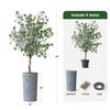 Artificial Tree in Contemporary Geometric Pattern Planter, Fake Eucalyptus Silk Tree for Indoor and Outdoor Home Decoration - 66" Overall Tall (Plant Pot Plus Tree) view 3