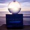 Glass Sphere Vase 10cm Flat-Bottom Orb for Plants, Terrariums & Home Decor view 4