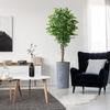 Artificial Tree in Contemporary Geometric Pattern Planter, Fake Ficus Silk Tree for Indoor and Outdoor Home Decoration - 75" Overall Tall (Plant Pot Plus Tree) view 1
