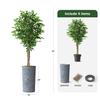 Artificial Tree in Contemporary Geometric Pattern Planter, Fake Ficus Silk Tree for Indoor and Outdoor Home Decoration - 75" Overall Tall (Plant Pot Plus Tree) view 3