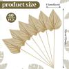 Cenkaiyang 40 Pcs Boho Dried Palm Spears Leaves, Real Palm Fans with Stem, Natural Dried Leaf Boho Home Decor for Vase, Wedding, Office, Home (40 Pieces) view 3