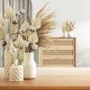 Cenkaiyang 40 Pcs Boho Dried Palm Spears Leaves, Real Palm Fans with Stem, Natural Dried Leaf Boho Home Decor for Vase, Wedding, Office, Home (40 Pieces) view 4