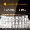 Shine Decor Plus LED Strip Lights AC 120V, Connectable Double Row Bright Rope Light, ETL IP65 Waterproof & Weather-Resistant for Accent Lighting, 7x17mm, 6000K Cool White, 50FT view 4