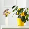 VICASKY 1pc Square Glass Vase White Ceramic Vase Sunflower Home Decor Minimalism Flower Modern Creative Vase Desktop Pottery Ceramic Artificial Flower Floor Big Vase Nordic Style Vase Fold view 4
