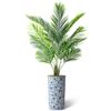 Artificial Tree in Blue and White Planter, Fake Areca Tropical Palm Silk Tree for Indoor and Outdoor Home Decoration - 66" Overall Tall (Plant Pot Plus Tree) view 2