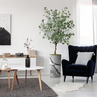 Artificial Tree in Black & White Close Up Planter, Fake Eucalyptus Silk Tree for Indoor and Outdoor Home Decoration - 66" Overall Tall (Plant Pot Plus Tree)