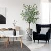 Artificial Tree in Black & White Close Up Planter, Fake Eucalyptus Silk Tree for Indoor and Outdoor Home Decoration - 66" Overall Tall (Plant Pot Plus Tree) view 1