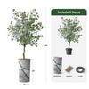 Artificial Tree in Black & White Close Up Planter, Fake Eucalyptus Silk Tree for Indoor and Outdoor Home Decoration - 66" Overall Tall (Plant Pot Plus Tree) view 3