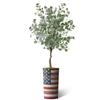 Artificial Tree in American Flag Planter, Fake Eucalyptus Silk Tree for Indoor and Outdoor Home Decoration - 66" Overall Tall (Plant Pot Plus Tree) view 2