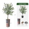 Artificial Tree in American Flag Planter, Fake Eucalyptus Silk Tree for Indoor and Outdoor Home Decoration - 66" Overall Tall (Plant Pot Plus Tree) view 3