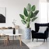 Artificial Tree in Blue and White Planter, Fake Bird of Paradise Silk Tree for Indoor and Outdoor Home Decoration - 67" Overall Tall (Plant Pot Plus Tree) view 1