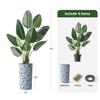Artificial Tree in Blue and White Planter, Fake Bird of Paradise Silk Tree for Indoor and Outdoor Home Decoration - 67" Overall Tall (Plant Pot Plus Tree) view 3