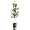 Artificial Tree in American Flag Planter, Fake Olive Silk Tree for Indoor and Outdoor Home Decoration - 68" Overall Tall (Plant Pot Plus Tree) view 2