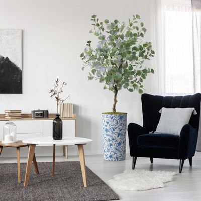 Artificial Tree in Blue and White Planter, Fake Eucalyptus Silk Tree for Indoor and Outdoor Home Decoration - 66" Overall Tall (Plant Pot Plus Tree)