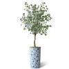 Artificial Tree in Blue and White Planter, Fake Eucalyptus Silk Tree for Indoor and Outdoor Home Decoration - 66" Overall Tall (Plant Pot Plus Tree) view 2