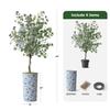 Artificial Tree in Blue and White Planter, Fake Eucalyptus Silk Tree for Indoor and Outdoor Home Decoration - 66" Overall Tall (Plant Pot Plus Tree) view 3