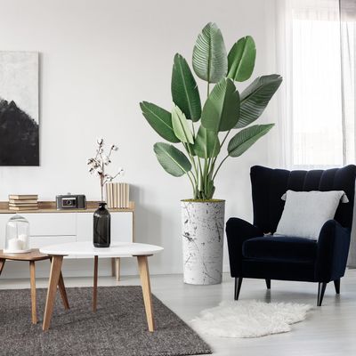 Artificial Tree in Abstract Ink Planter, Fake Bird of Paradise Silk Tree for Indoor and Outdoor Home Decoration - 67" Overall Tall (Plant Pot Plus Tree)