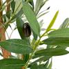 Artificial Tree in Black & White Flower Pattern Planter, Fake Olive Silk Tree for Indoor and Outdoor Home Decoration - 68" Overall Tall (Plant Pot Plus Tree) view 4