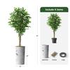 Artificial Tree in Abstract Ink Planter, Fake Ficus Silk Tree for Indoor and Outdoor Home Decoration - 75" Overall Tall (Plant Pot Plus Tree) view 3