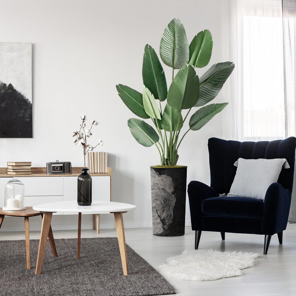 Artificial Tree in Black White Wood Tree Rings Pattern Planter, Fake Bird of Paradise Silk Tree for Indoor and Outdoor Home Decoration - 67" Overall Tall (Plant Pot Plus Tree)