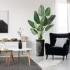 Artificial Tree in Black White Wood Tree Rings Pattern Planter, Fake Bird of Paradise Silk Tree for Indoor and Outdoor Home Decoration - 67" Overall Tall (Plant Pot Plus Tree) view 1