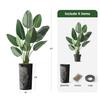 Artificial Tree in Black White Wood Tree Rings Pattern Planter, Fake Bird of Paradise Silk Tree for Indoor and Outdoor Home Decoration - 67" Overall Tall (Plant Pot Plus Tree) view 3