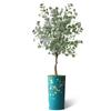 Artificial Tree in Almond Blossom Tree Pattern Planter, Fake Eucalyptus Silk Tree for Indoor and Outdoor Home Decoration - 66" Overall Tall (Plant Pot Plus Tree) view 2