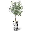 Artificial Tree in Black & White Flower Pattern Planter, Fake Eucalyptus Silk Tree for Indoor and Outdoor Home Decoration - 66" Overall Tall (Plant Pot Plus Tree) view 2