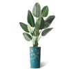 Artificial Tree in Almond Blossom Tree Pattern Planter, Fake Bird of Paradise Silk Tree for Indoor and Outdoor Home Decoration - 67" Overall Tall (Plant Pot Plus Tree) view 2