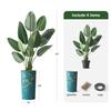 Artificial Tree in Almond Blossom Tree Pattern Planter, Fake Bird of Paradise Silk Tree for Indoor and Outdoor Home Decoration - 67" Overall Tall (Plant Pot Plus Tree) view 3