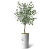 Artificial Tree in Abstract Ink Planter, Fake Eucalyptus Silk Tree for Indoor and Outdoor Home Decoration - 66" Overall Tall (Plant Pot Plus Tree) view 2